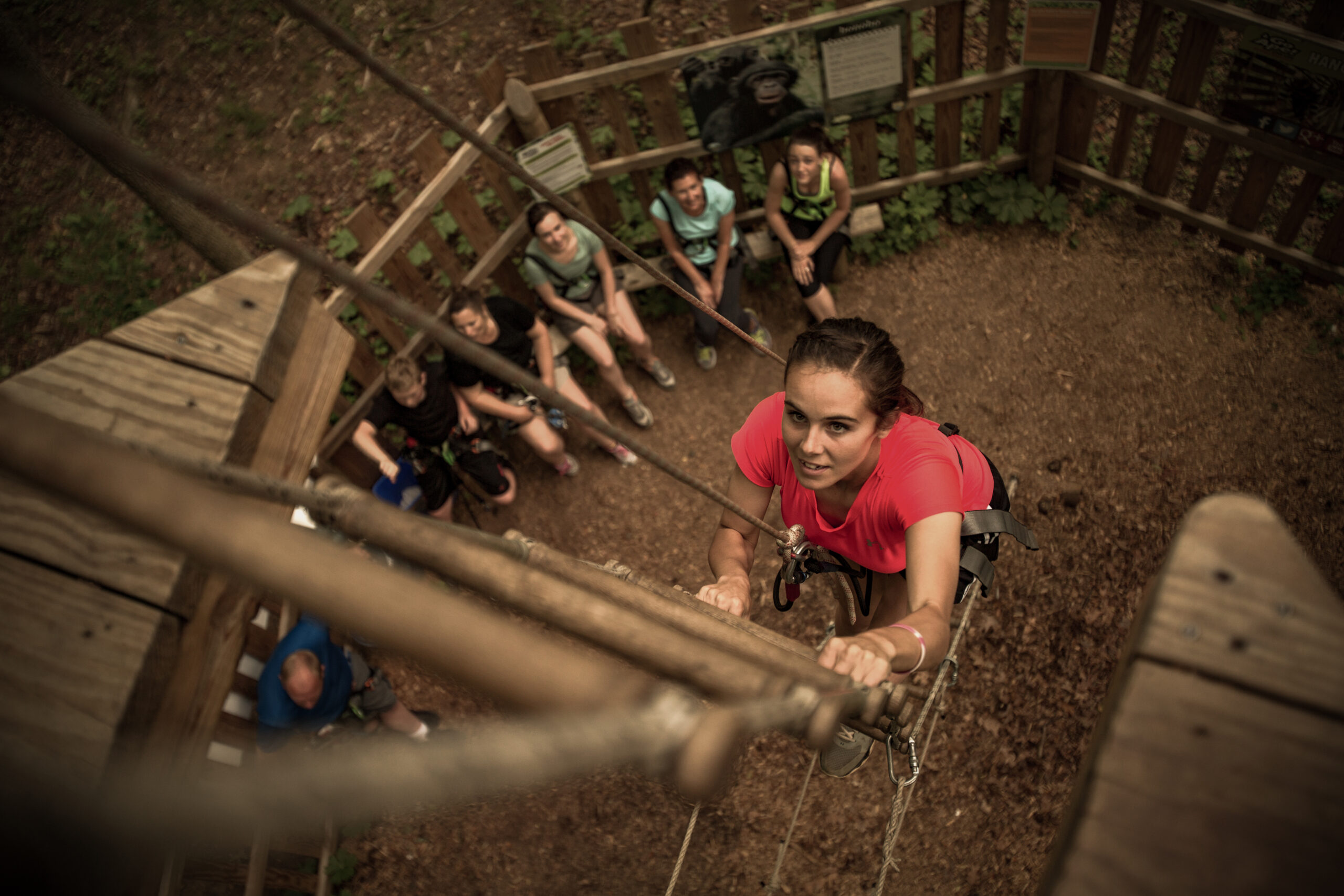 Young woman climbing a ladder with her team cheering her on