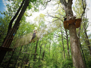 A person climbing up an epic treetop net in Rockville, Maryland