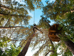 A woman conquering an epic Tarzan swing through the trees in Memphis, Tennessee