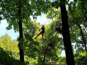 A man flying down a zipline through a beautiful forest canopy in St. Louis, Missouri