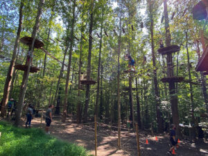 A wide shot of an epic zipline and treetop adventure course in Springfield, Virginia